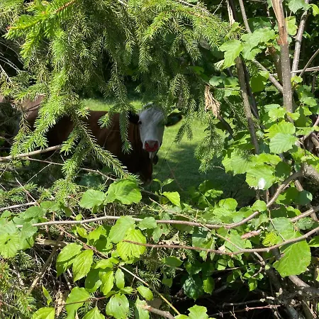 Haus Silverfern Lägenhet Förolach
