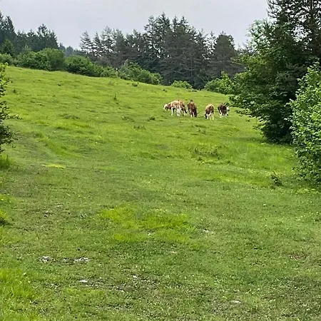 Lägenhet Haus Silverfern