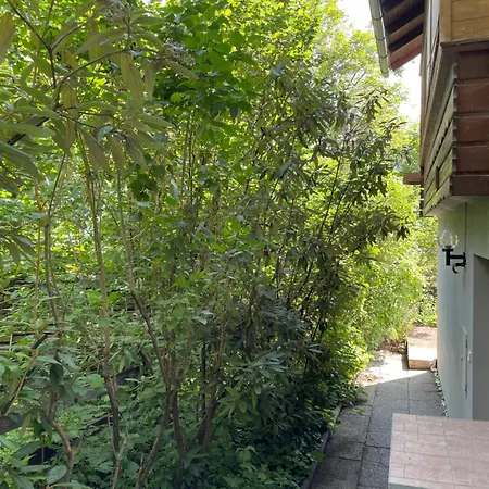 Апартаменты Haus Silverfern Forolach