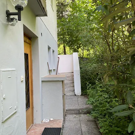 Haus Silverfern *