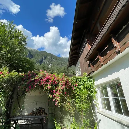 Haus Silverfern Apartment