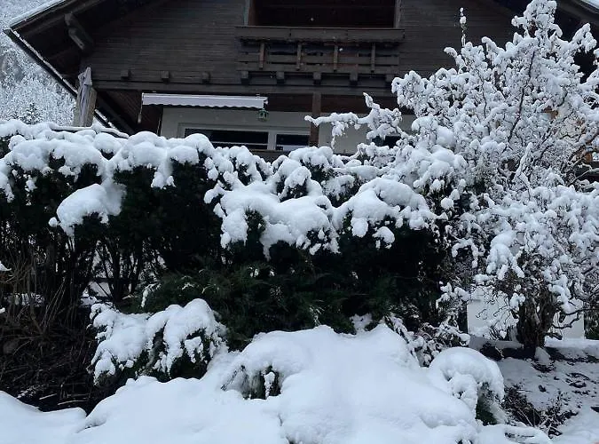 Apartament Haus Silverfern